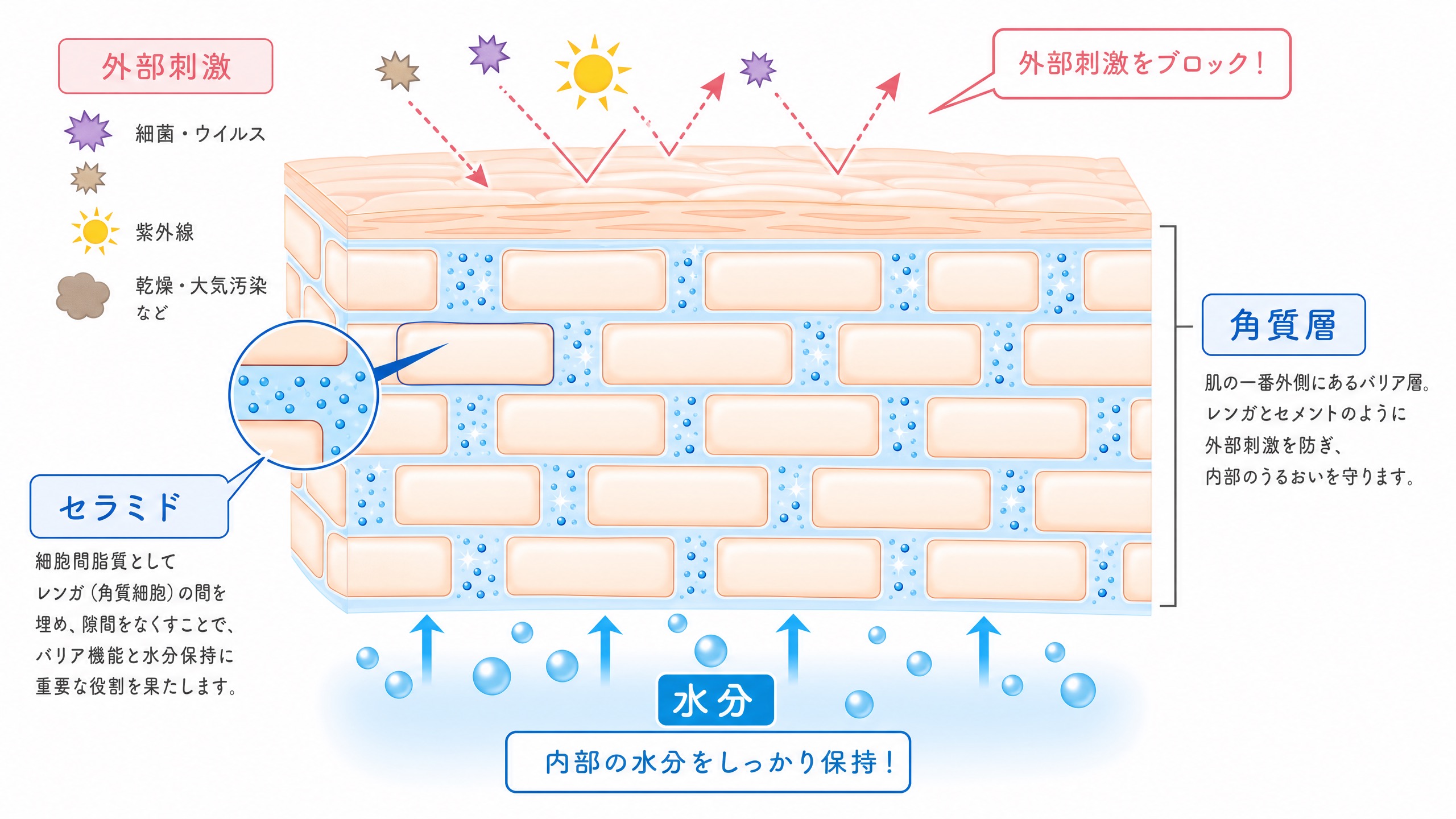 乾燥肌の悩み