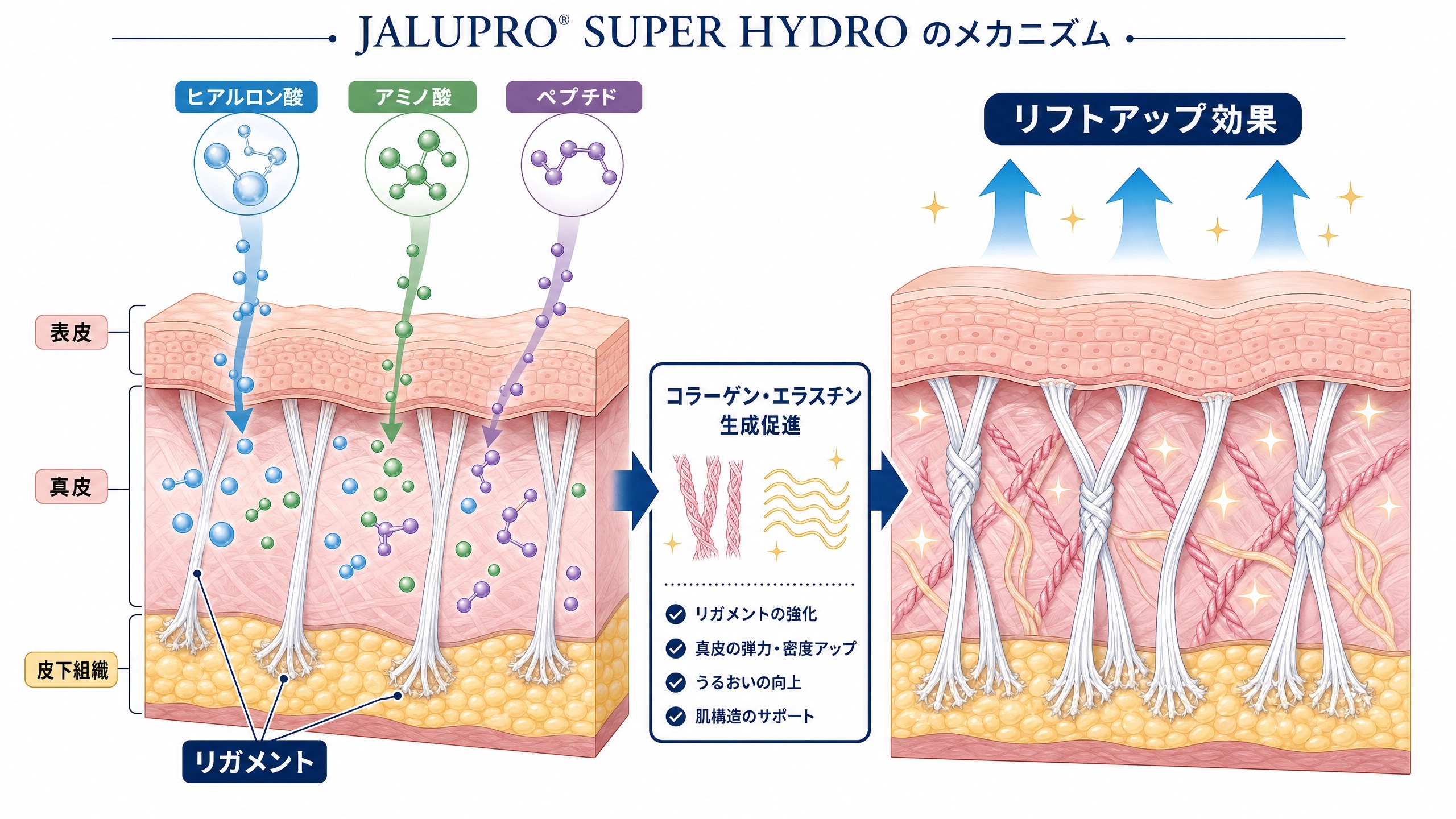 ジャルプロスーパーハイドロの作用メカニズム