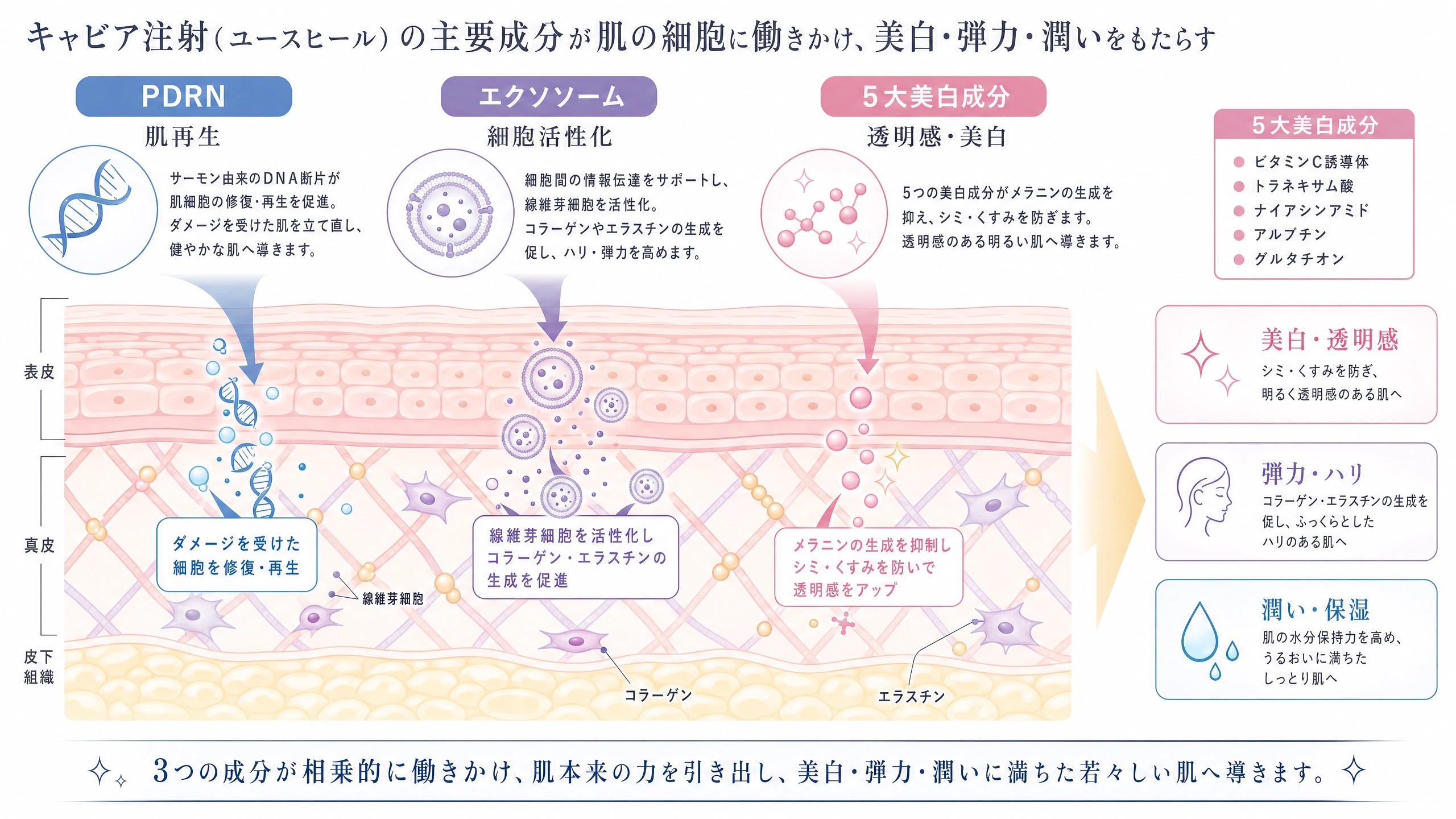 キャビア注射(ユースヒール)の主要成分と効果